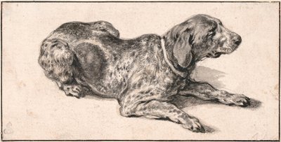 Reclining Dog by Aelbert Cuyp